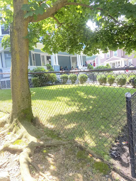 South Hingham Veterinary Services Picture 3