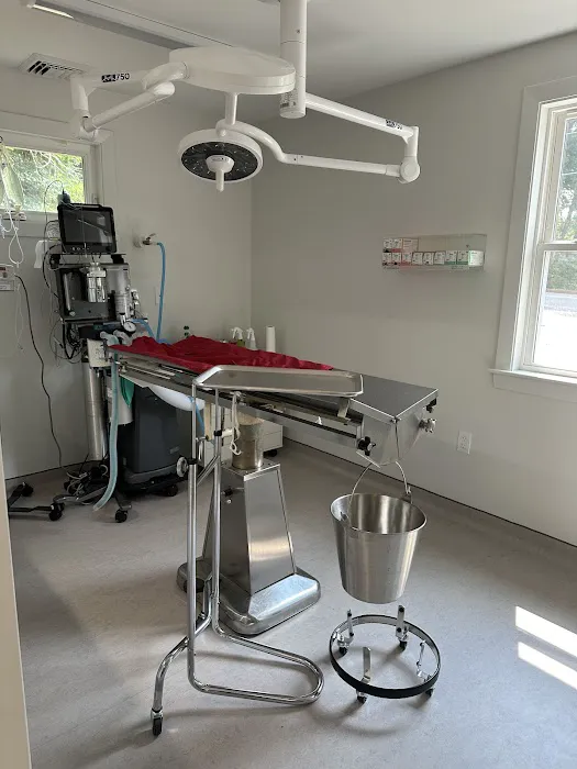 Pine Woods Animal Hospital Picture 3