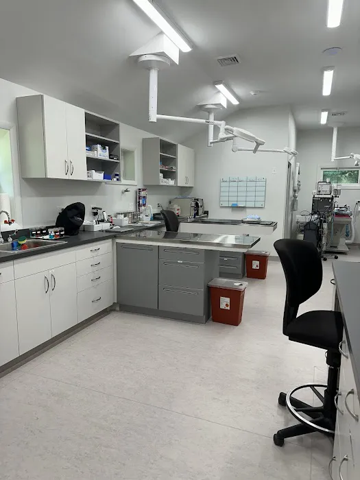 Pine Woods Animal Hospital Picture 8