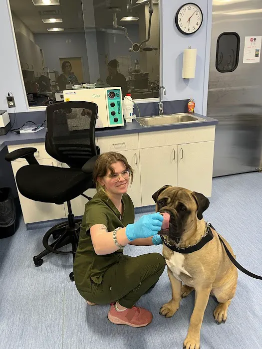 Brijon Veterinary Urgent Care : Hanover, Massachusetts Picture 6