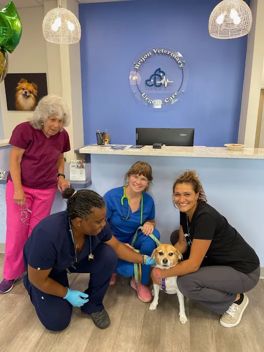 Brijon Veterinary Urgent Care : Hanover, Massachusetts Picture 7