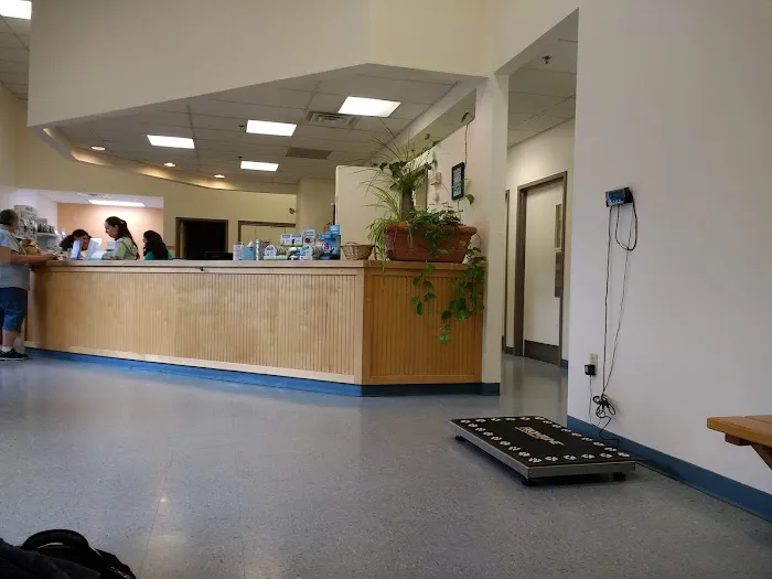 Fresh Pond Animal Hospital Picture 2