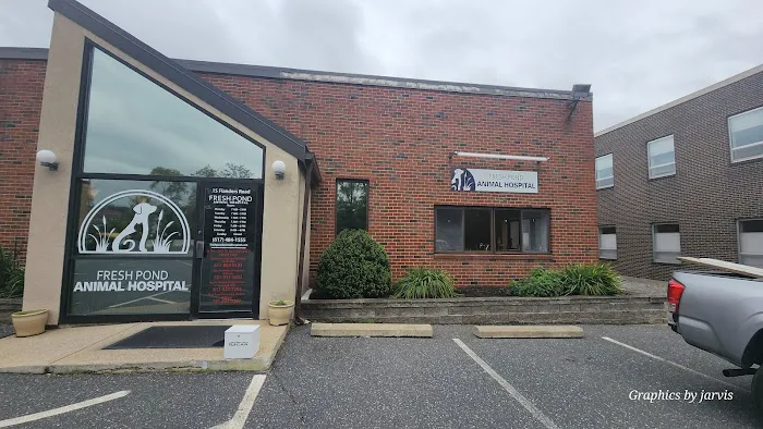 Fresh Pond Animal Hospital Picture 3