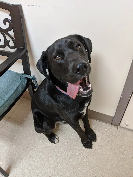 Fresh Pond Animal Hospital Picture 9