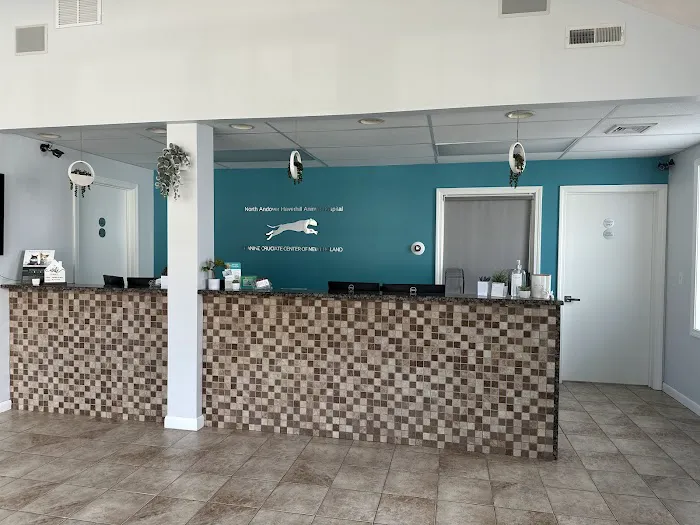 North Andover Haverhill Animal Hospital Picture 2