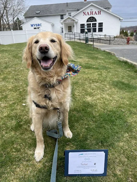 North Andover Haverhill Animal Hospital Picture 5