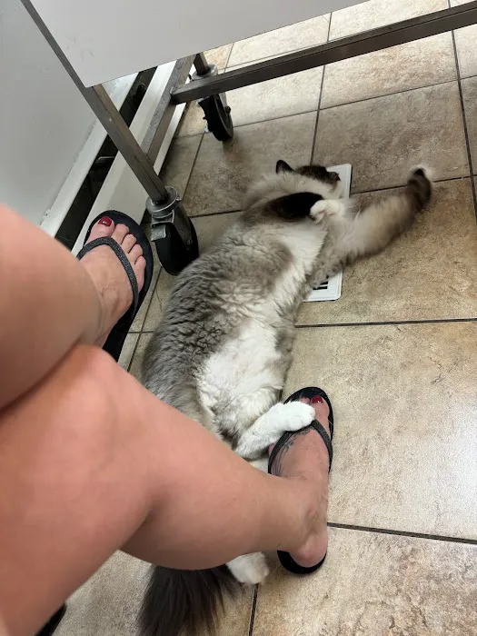 North Andover Haverhill Animal Hospital Picture 8