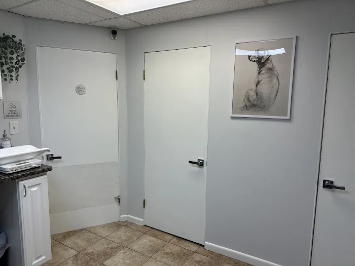 North Andover Haverhill Animal Hospital Picture 9
