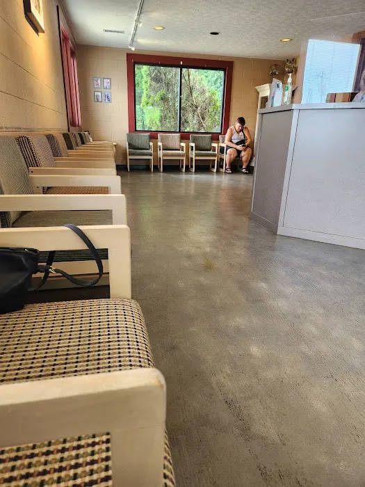 Central Animal Hospital Picture 1