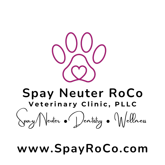 Spay Neuter RoCo Veterinary Clinic PLLC Picture 1