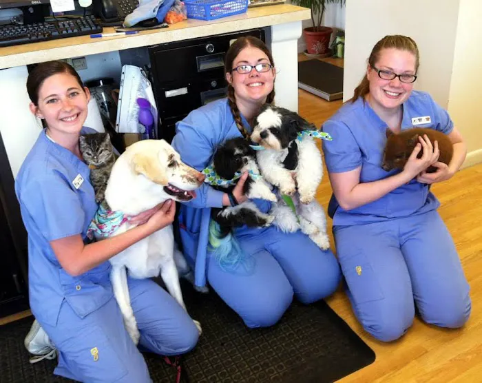 Portage Animal Clinic Picture 4