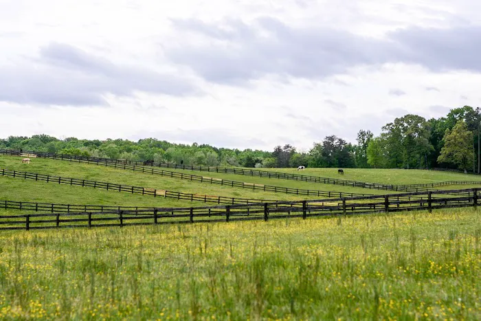 Veterinary Rehabilitation Services of Virginia Picture 6