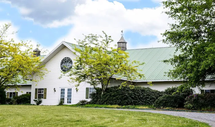 Veterinary Rehabilitation Services of Virginia Picture 3