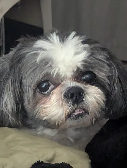 Hopkins Road Animal Hospital Picture 4
