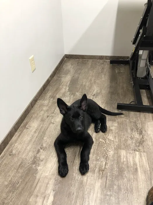 Hopkins Road Animal Hospital Picture 8