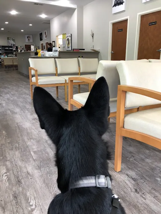 Hopkins Road Animal Hospital Picture 10