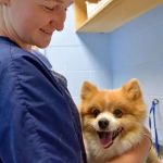 Companion Animal Clinic