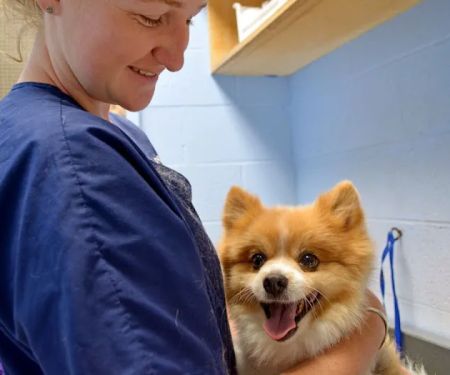 Companion Animal Clinic