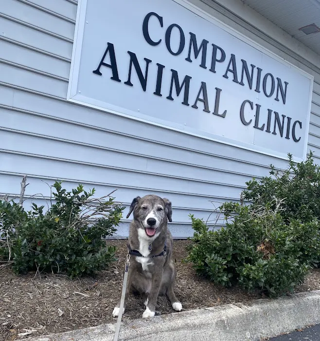 Companion Animal Clinic Picture 6