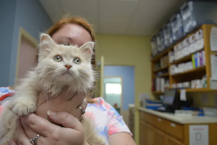 Companion Animal Clinic Picture 5