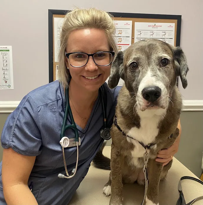 Companion Animal Clinic Picture 7