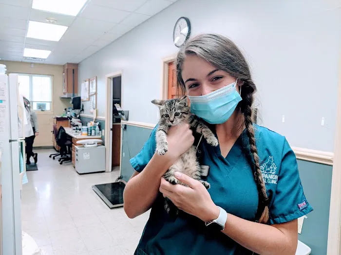 Companion Animal Clinic Picture 10