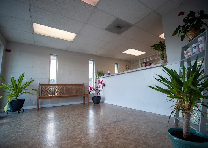 Plaza Veterinary Hospital Picture 1