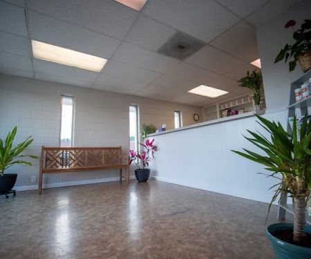 Plaza Veterinary Hospital