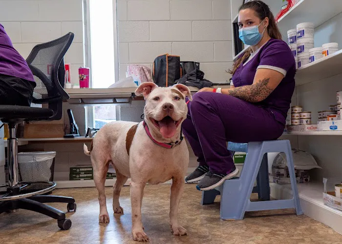 Plaza Veterinary Hospital Picture 7