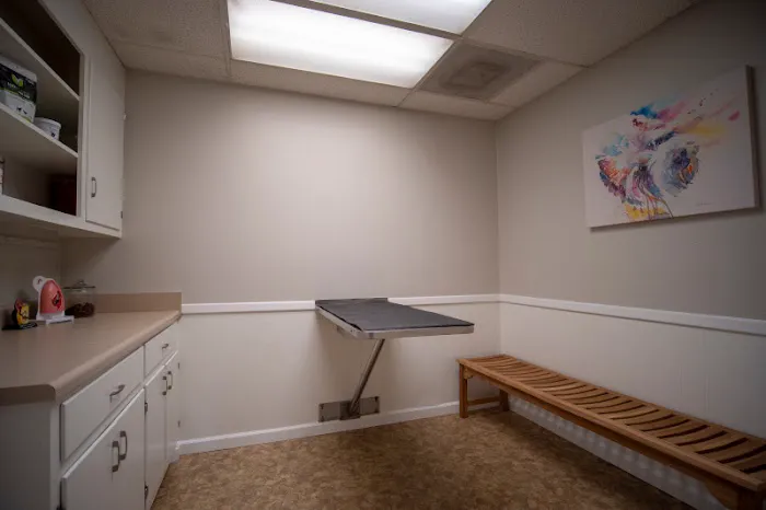 Plaza Veterinary Hospital Picture 10