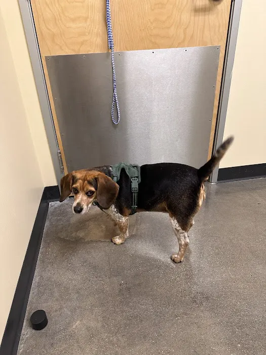 Vetco Total Care Animal Hospital Picture 7