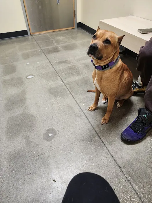Vetco Total Care Animal Hospital Picture 8