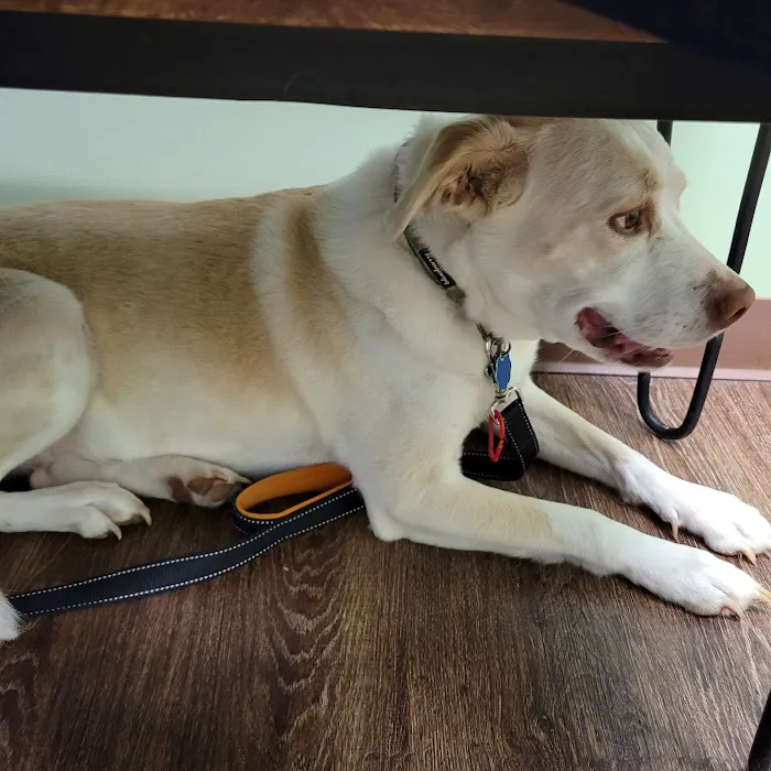 Oakes Animal Hospital Picture 4
