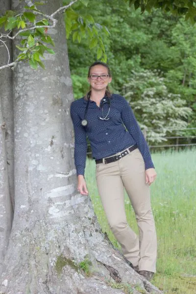 Four Seasons Equine Veterinary Service Picture 2