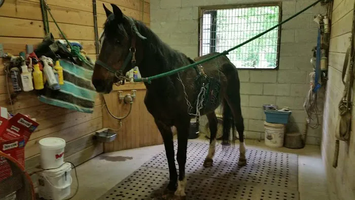 Four Seasons Equine Veterinary Service Picture 4
