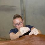 Four Seasons Equine Veterinary Service