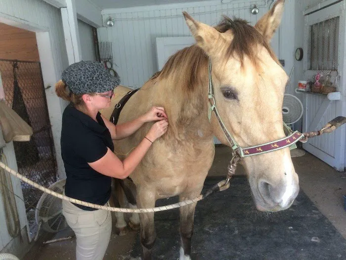 Four Seasons Equine Veterinary Service Picture 10