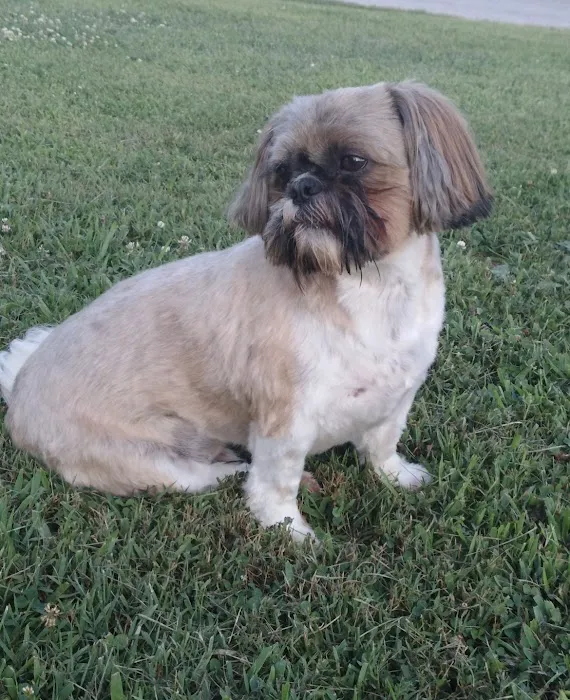 Northpointe Veterinary Care Picture 4