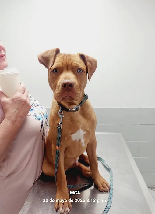 Gateway Animal Clinic Picture 2