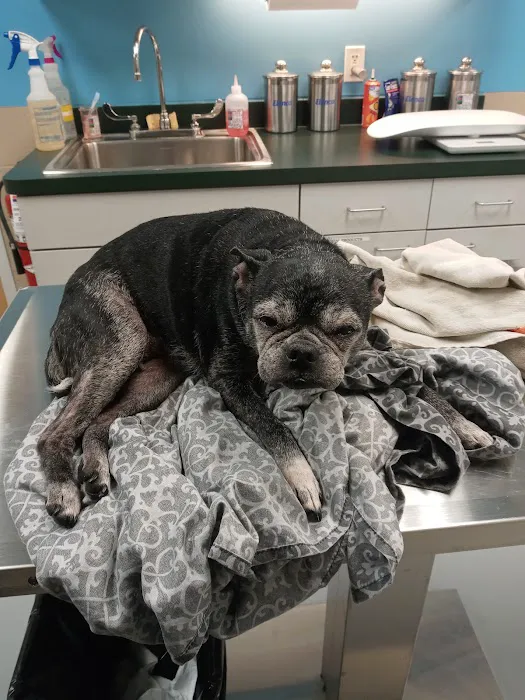 Gateway Animal Clinic Picture 7