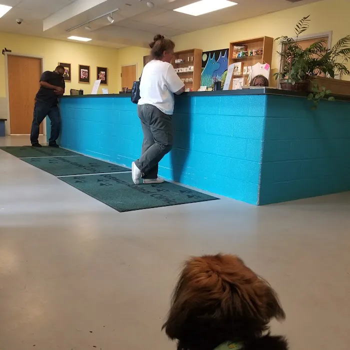 Gateway Animal Clinic Picture 9