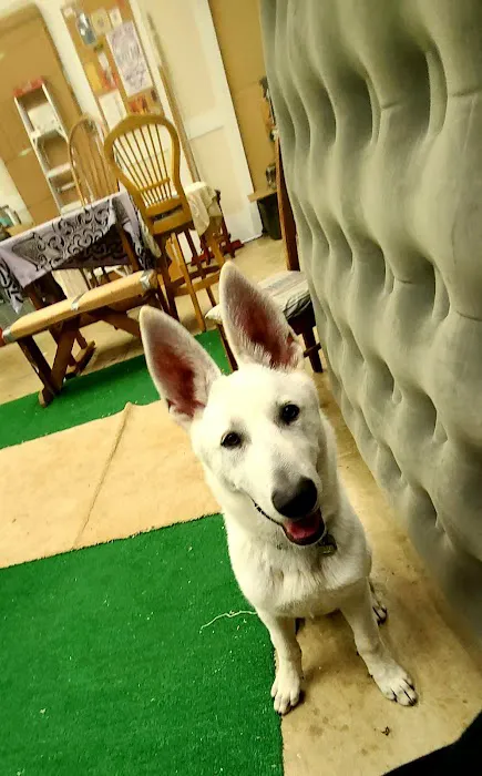 Triangle Veterinary Hospital Picture 3