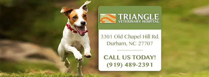 Triangle Veterinary Hospital Picture 8