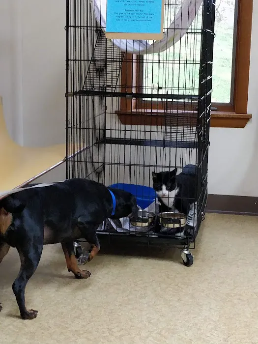 French Town Veterinary Clinic Picture 9