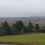 Third Coast Equine Veterinary Services, LLC