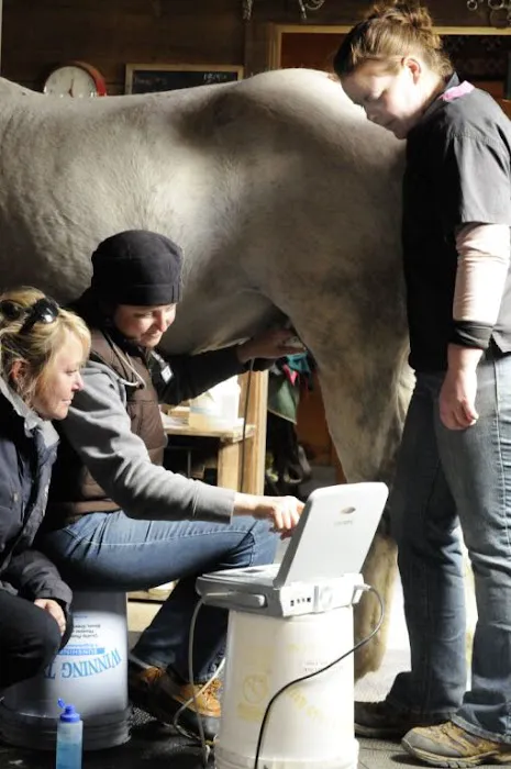 Third Coast Equine Veterinary Services, LLC Picture 7