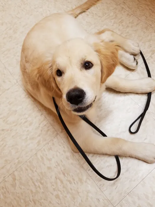 Hometown Veterinary Care Picture 6