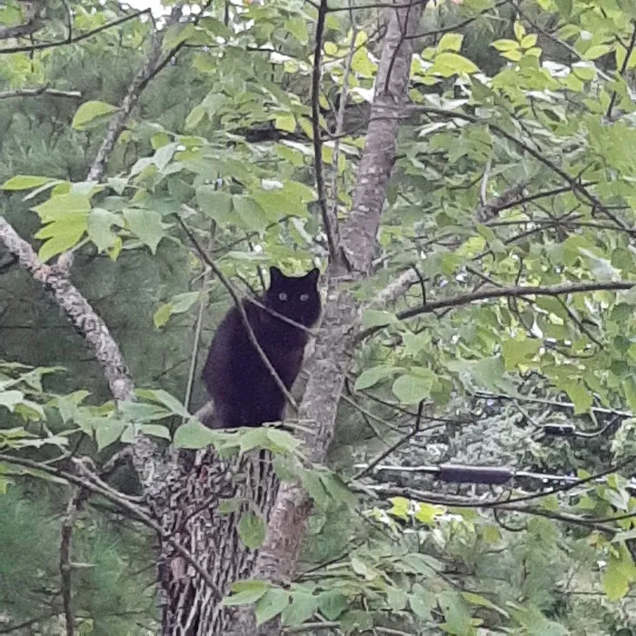 Hometown Veterinary Care Picture 7