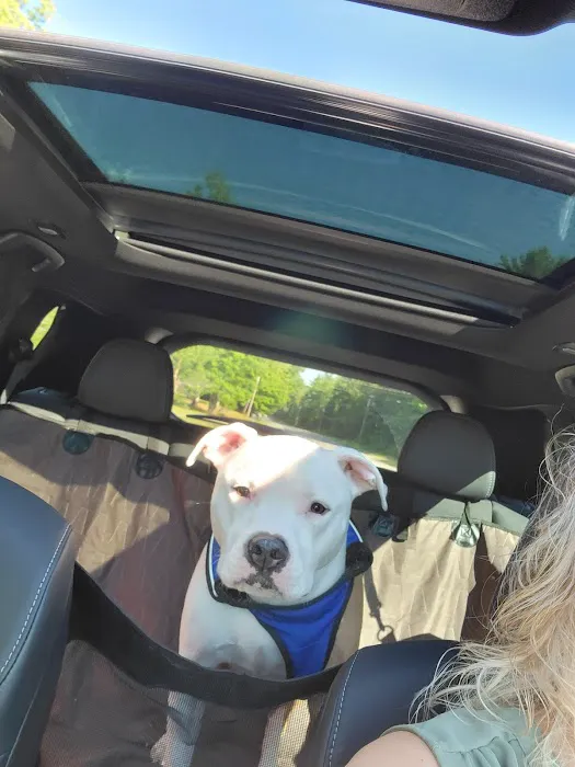 Hometown Veterinary Care Picture 9