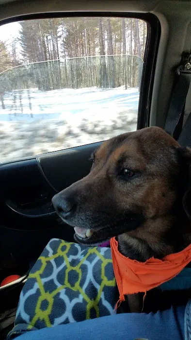 Hometown Veterinary Care Picture 8